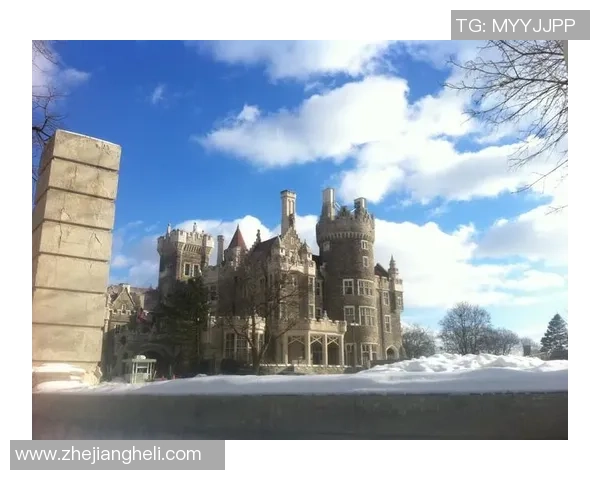 多伦多与休斯顿城市发展对比分析及未来展望探讨 多伦多与休斯顿城市发展对比分析及未来展望探讨