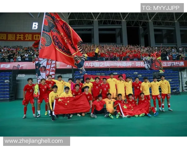 深圳足球队的崛起与荣耀：探索球队背后的力量与未来发展之路