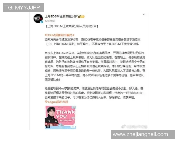 王者荣耀评论分析EDG战队在转会期的得失与未来发展方向
