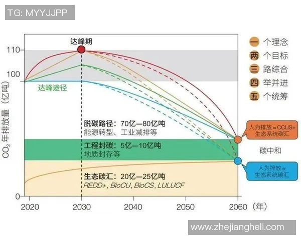 北京排球队实力解析与发展前景展望全面探讨排球运动的魅力与挑战